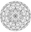 20.gif (74041 byte)