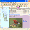 Main_Screen.gif (39259 byte)