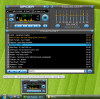 player.png (268443 byte)